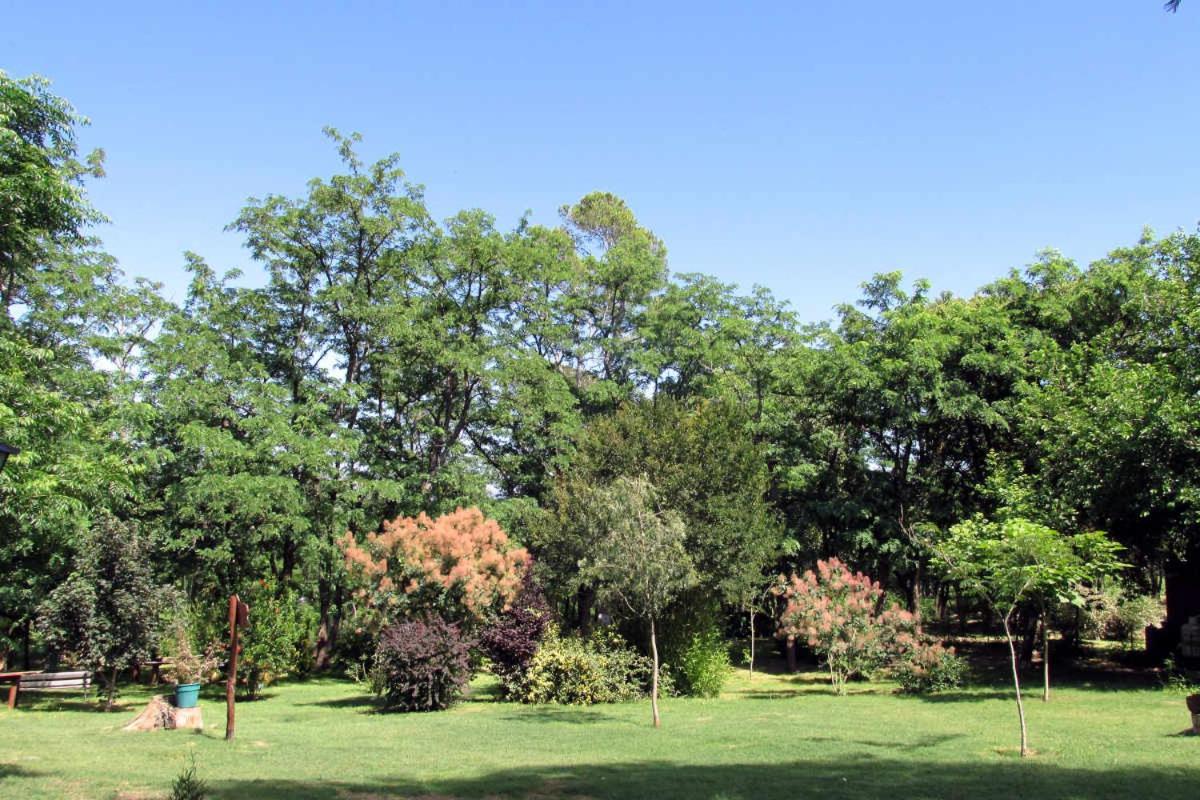 فندق سانتا روزا دي كالاموفي  Luna Cautiva Casa De Campo المظهر الخارجي الصورة