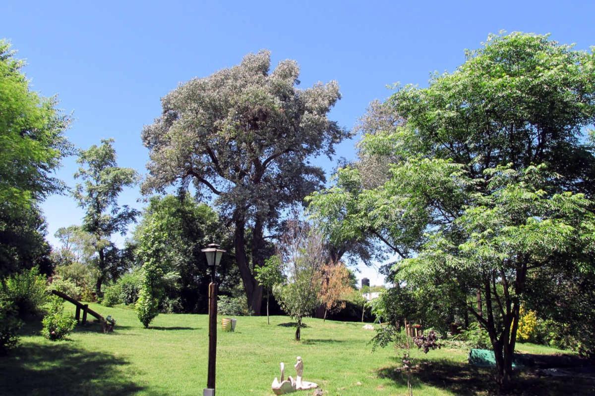 فندق سانتا روزا دي كالاموفي  Luna Cautiva Casa De Campo المظهر الخارجي الصورة